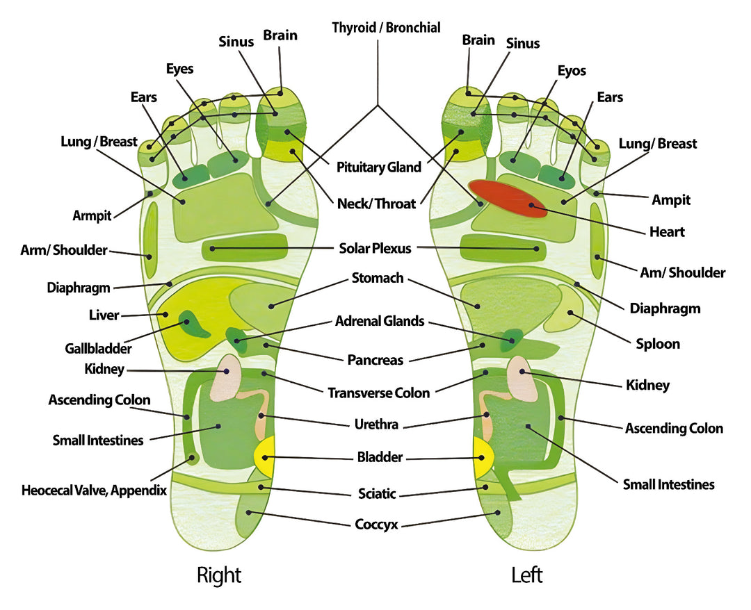 Luxe detox foot soak